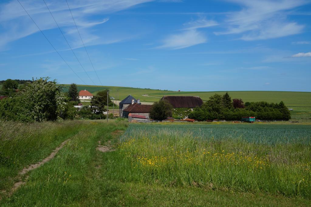La Grille Fleurie, Chambres D'Hote Chez L'Habitant Arthonnay Exteriér fotografie